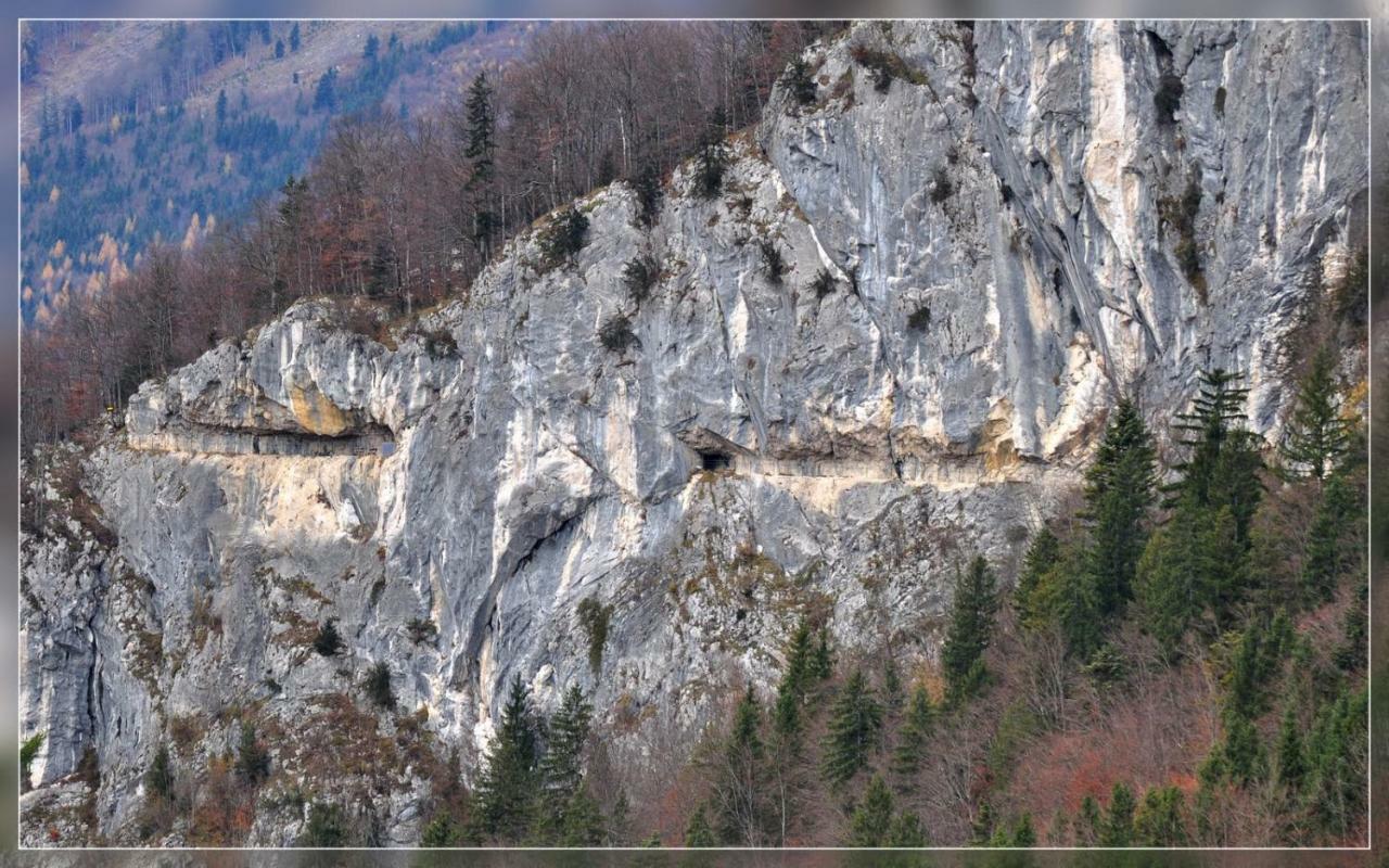 Hostel-Badgoisern1 Bad Goisern Εξωτερικό φωτογραφία